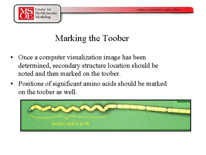 Marking the Toober • Once a computer visualization image has been determined, secondary structure Marking the Toober • Once a computer visualization image has been determined, secondary structure