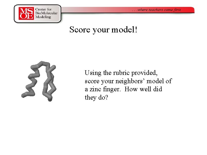 Score your model! Using the rubric provided, score your neighbors’ model of a zinc