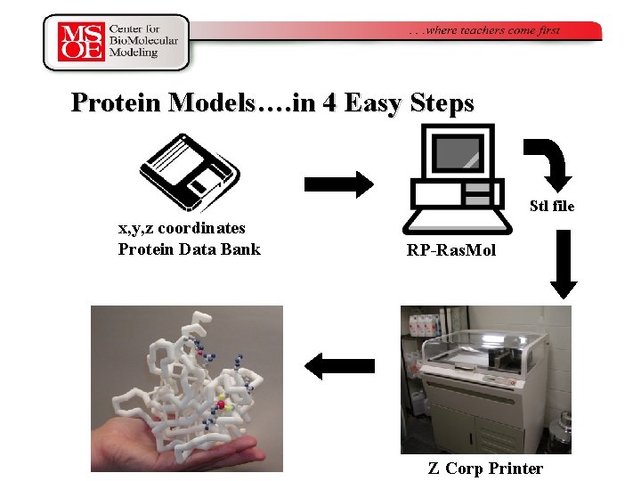 Protein Models…. in 4 Easy Steps Stl file x, y, z coordinates Protein Data