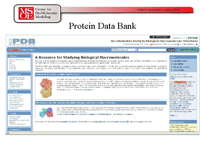 Protein Data Bank 