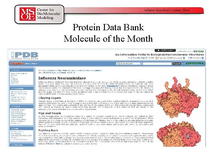 Protein Data Bank Molecule of the Month 