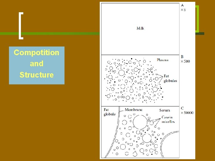 Compotition and Structure 