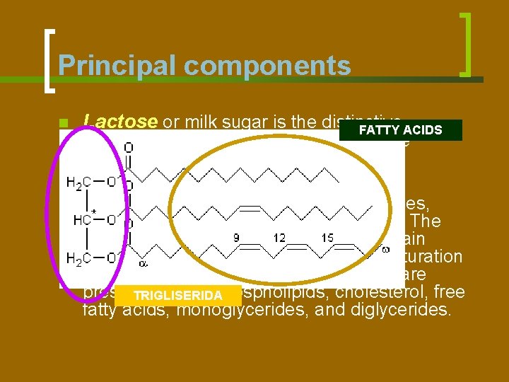 Principal components n Lactose or milk sugar is the distinctive FATTY ACIDS n The
