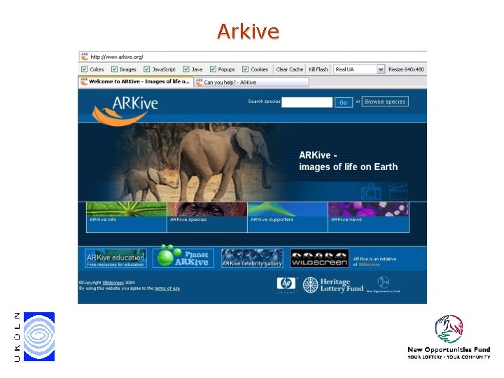 Arkive Arkive