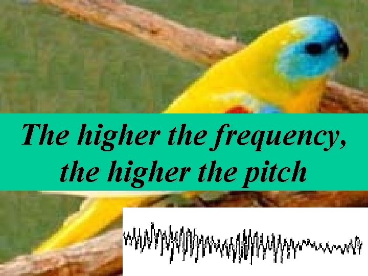 The higher the frequency, the higher the pitch 