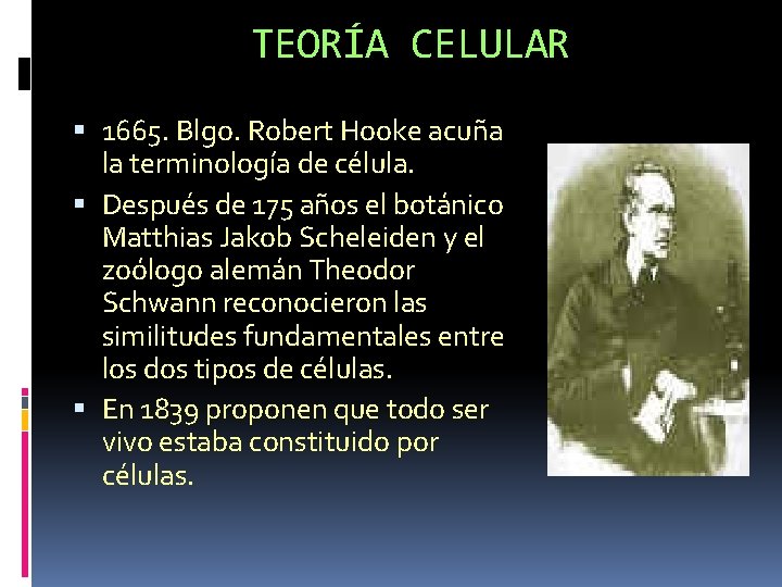 TEORÍA CELULAR 1665. Blgo. Robert Hooke acuña la terminología de célula. Después de 175