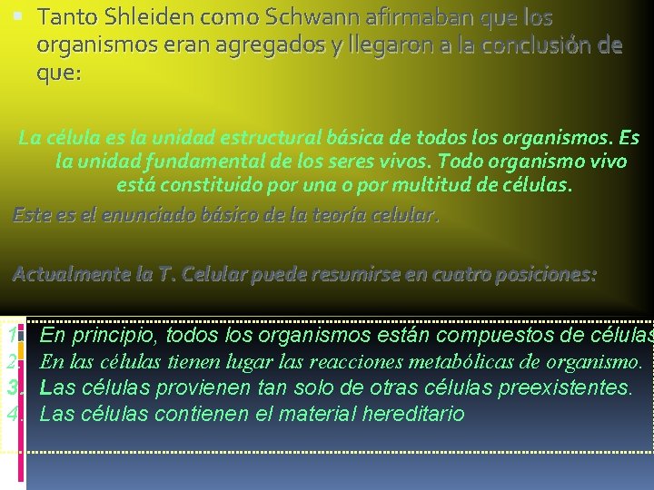  Tanto Shleiden como Schwann afirmaban que los organismos eran agregados y llegaron a