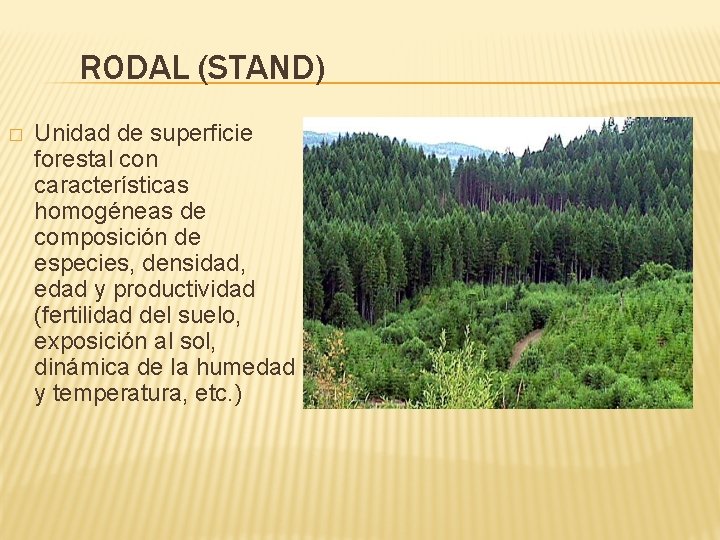 RODAL (STAND) � Unidad de superficie forestal con características homogéneas de composición de especies,