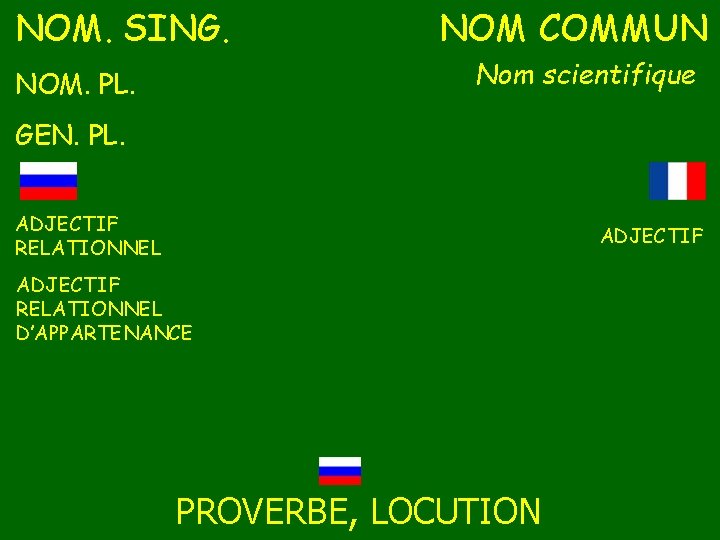 NOM. SING. NOM COMMUN Nom scientifique NOM. PL. GEN. PL. ADJECTIF RELATIONNEL D’APPARTENANCE PROVERBE,