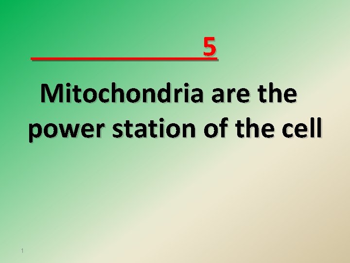 5 Mitochondria are the power station of the cell 1 
