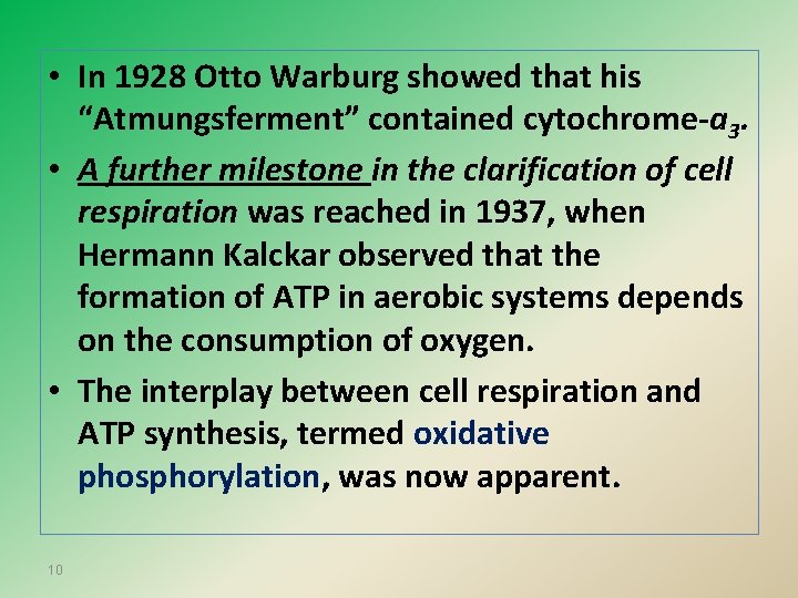  • In 1928 Otto Warburg showed that his “Atmungsferment” contained cytochrome-a 3. •