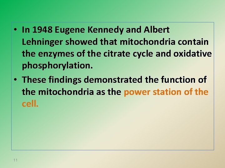  • In 1948 Eugene Kennedy and Albert Lehninger showed that mitochondria contain the