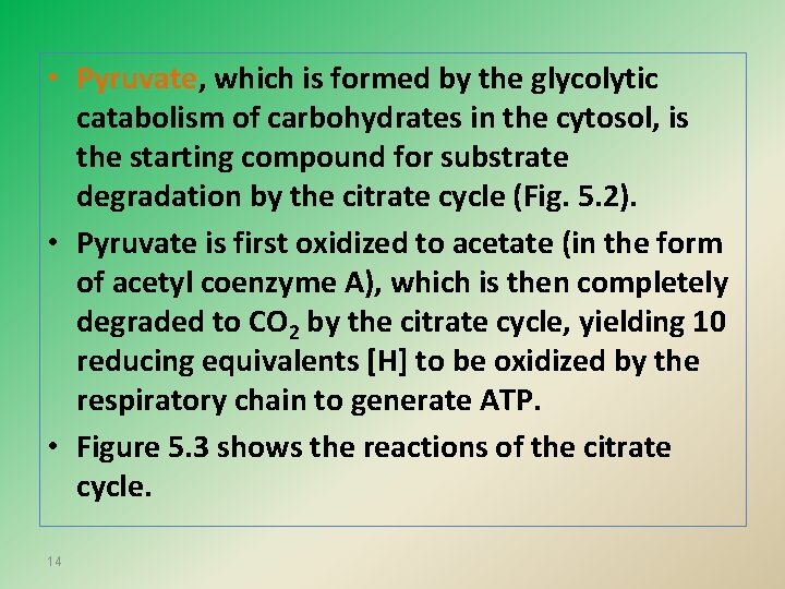 • Pyruvate, which is formed by the glycolytic catabolism of carbohydrates in the