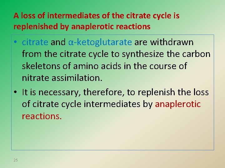 A loss of intermediates of the citrate cycle is replenished by anaplerotic reactions •