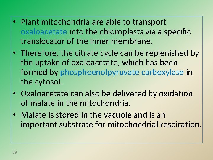  • Plant mitochondria are able to transport oxaloacetate into the chloroplasts via a