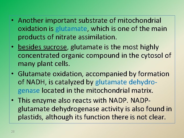  • Another important substrate of mitochondrial oxidation is glutamate, which is one of