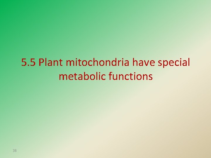 5. 5 Plant mitochondria have special metabolic functions 36 