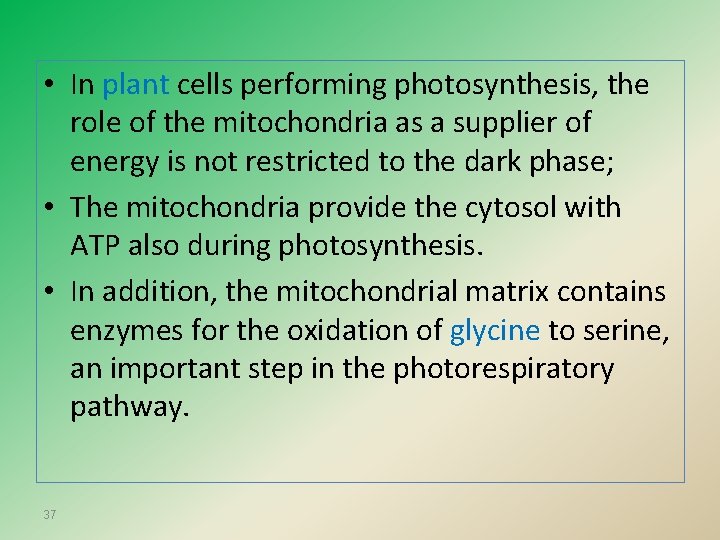  • In plant cells performing photosynthesis, the role of the mitochondria as a