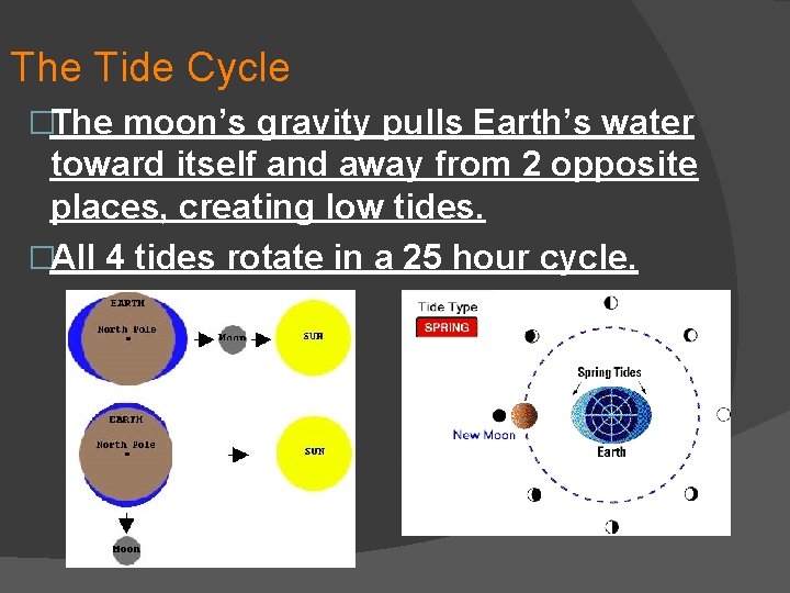 The Tide Cycle �The moon’s gravity pulls Earth’s water toward itself and away from