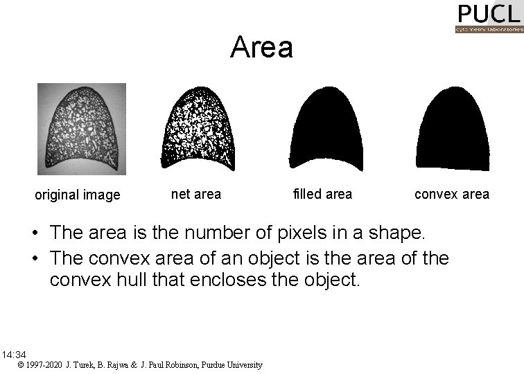 Area original image net area filled area convex area • The area is the