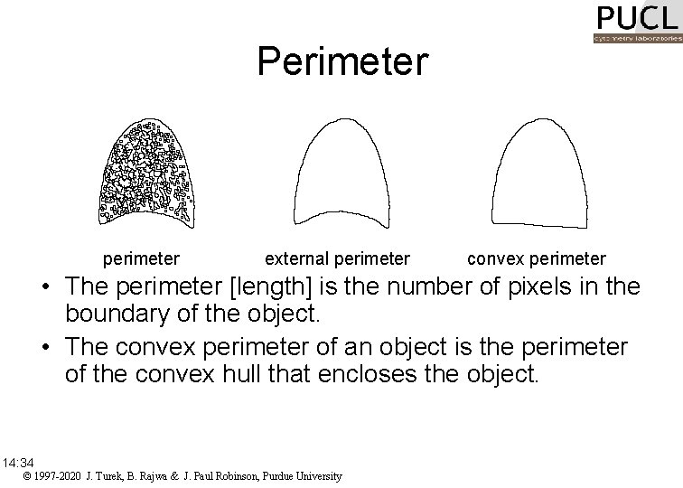 Perimeter perimeter external perimeter convex perimeter • The perimeter [length] is the number of