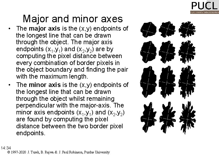 Major and minor axes • The major axis is the (x, y) endpoints of