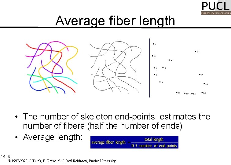 Average fiber length Picture size = 3. 56 in x 3. 56 in Skeletonization