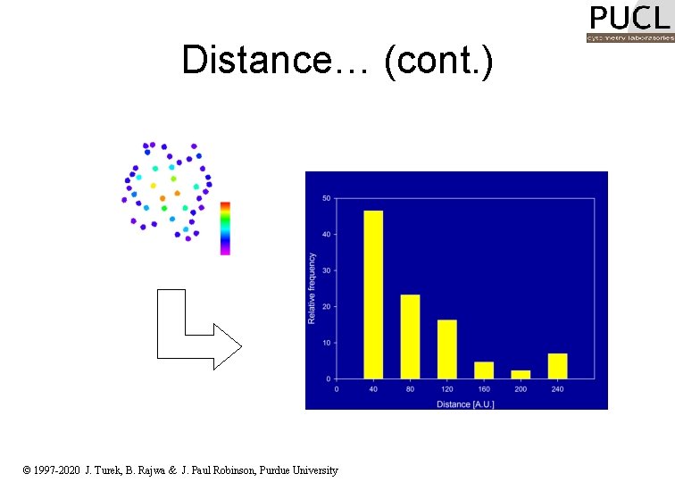 Distance… (cont. ) © 1997 -2020 J. Turek, B. Rajwa & J. Paul Robinson,