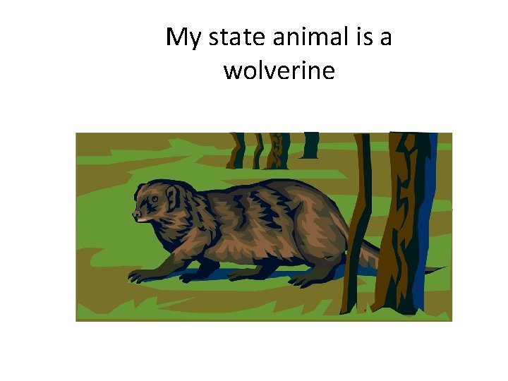 My state animal is a wolverine 