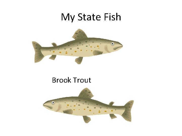 My State Fish Brook Trout 