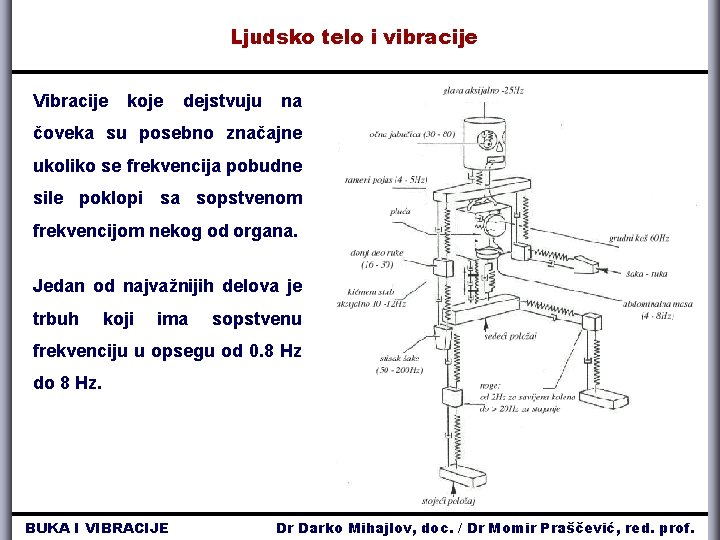 Ljudsko telo i vibracije Vibracije koje dejstvuju na čoveka su posebno značajne ukoliko se