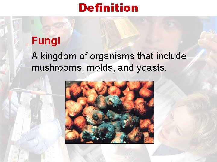 Definition Fungi A kingdom of organisms that include mushrooms, molds, and yeasts. 