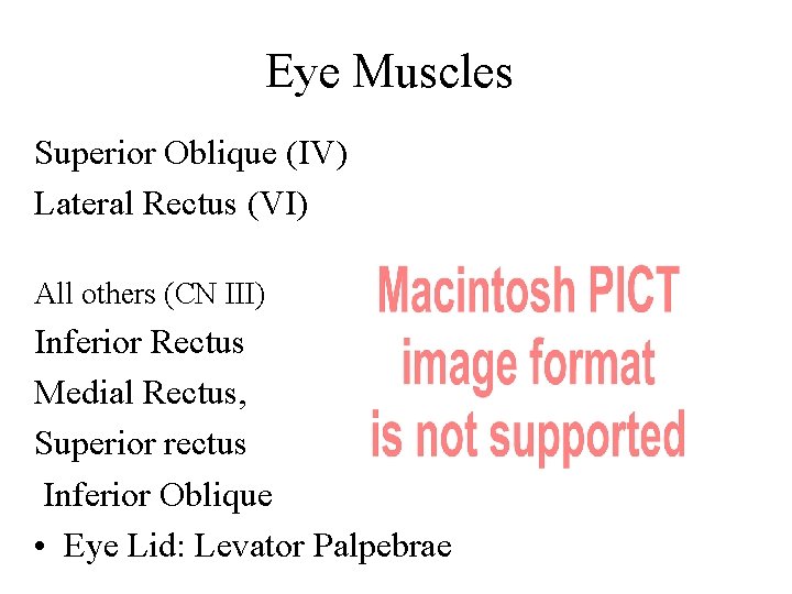 Eye Muscles Superior Oblique (IV) Lateral Rectus (VI) All others (CN III) Inferior Rectus