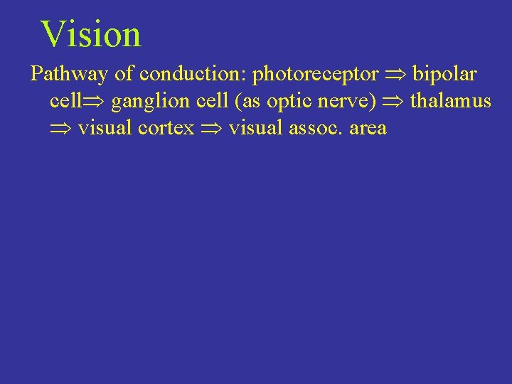 Vision Pathway of conduction: photoreceptor bipolar cell ganglion cell (as optic nerve) thalamus visual