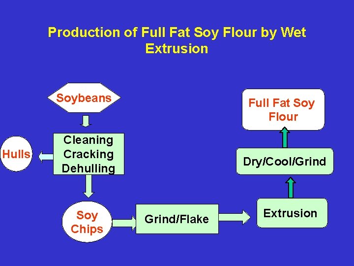 Production of Full Fat Soy Flour by Wet Extrusion Soybeans Hulls Full Fat Soy