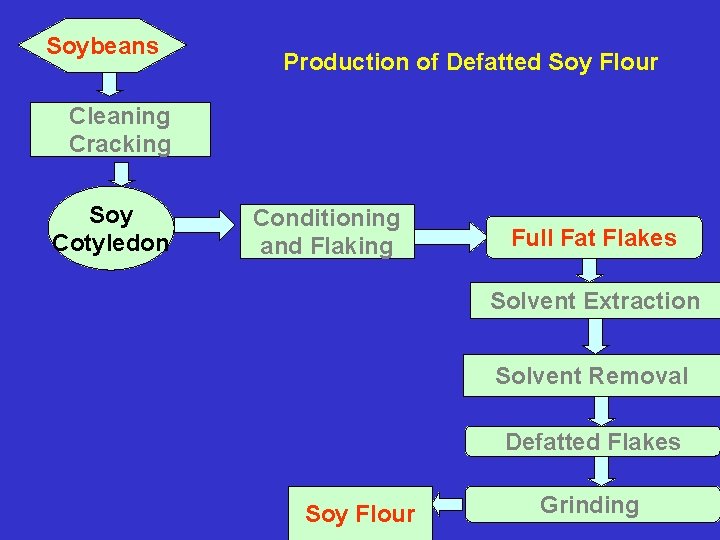 Soybeans Production of Defatted Soy Flour Cleaning Cracking Soy Cotyledon Conditioning and Flaking Full