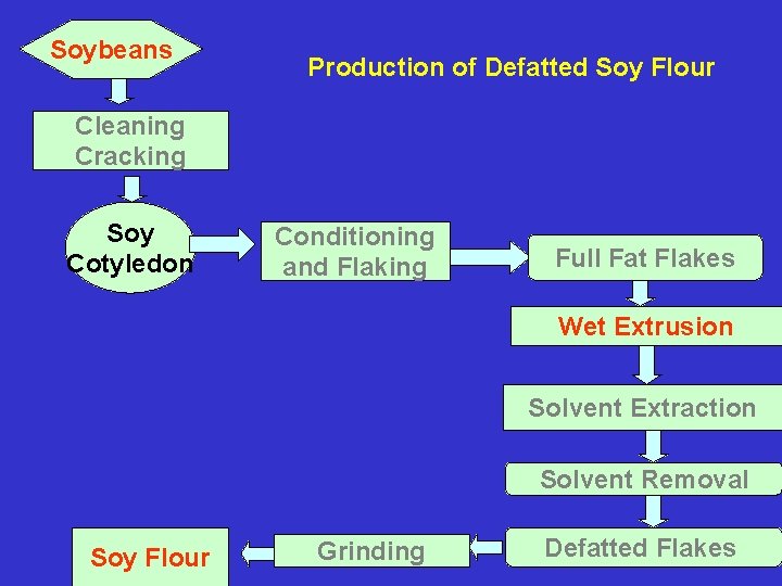 Soybeans Production of Defatted Soy Flour Cleaning Cracking Soy Cotyledon Conditioning and Flaking Full