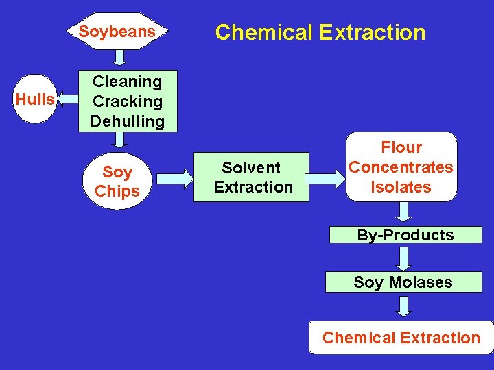 Soybeans Hulls Chemical Extraction Cleaning Cracking Dehulling Soy Chips Solvent Extraction Flour Concentrates Isolates