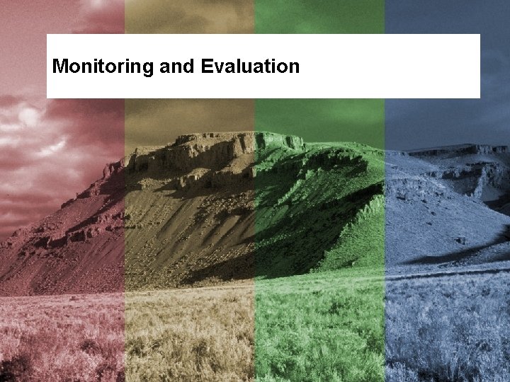 Monitoring and Evaluation 