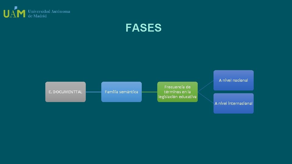 FASES A nivel nacional E. DOCUMENTTAL Familia semántica Frecuencia de términos en la legislación