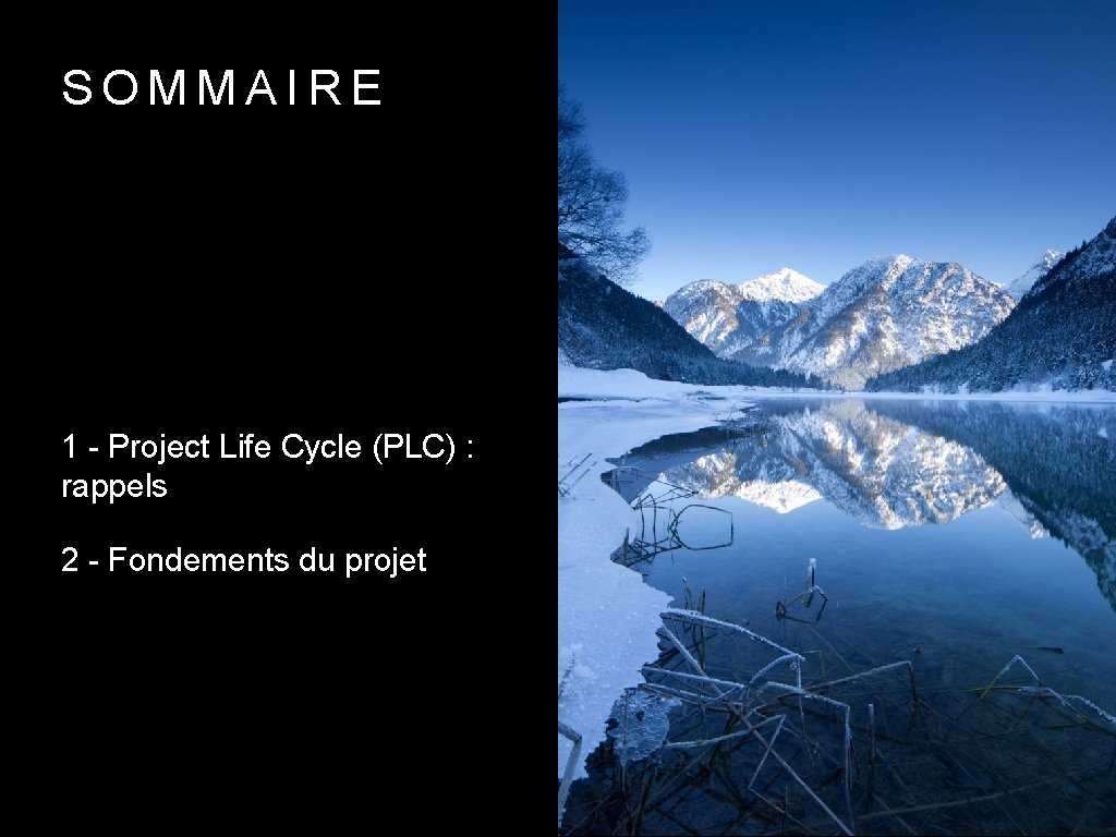 SOMMAIRE 1 - Project Life Cycle (PLC) : rappels 2 - Fondements du projet