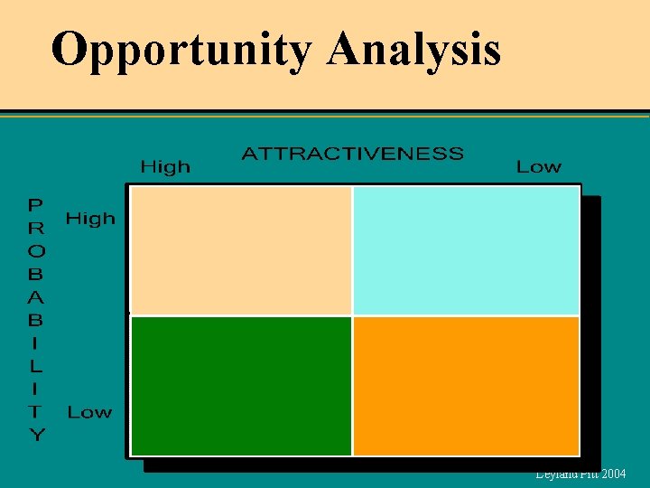 Opportunity Analysis Leyland Pitt 2004 