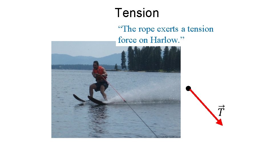 Tension “The rope exerts a tension force on Harlow. ” 