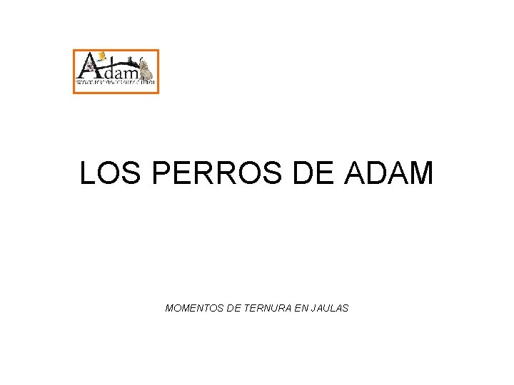 LOS PERROS DE ADAM MOMENTOS DE TERNURA EN JAULAS 