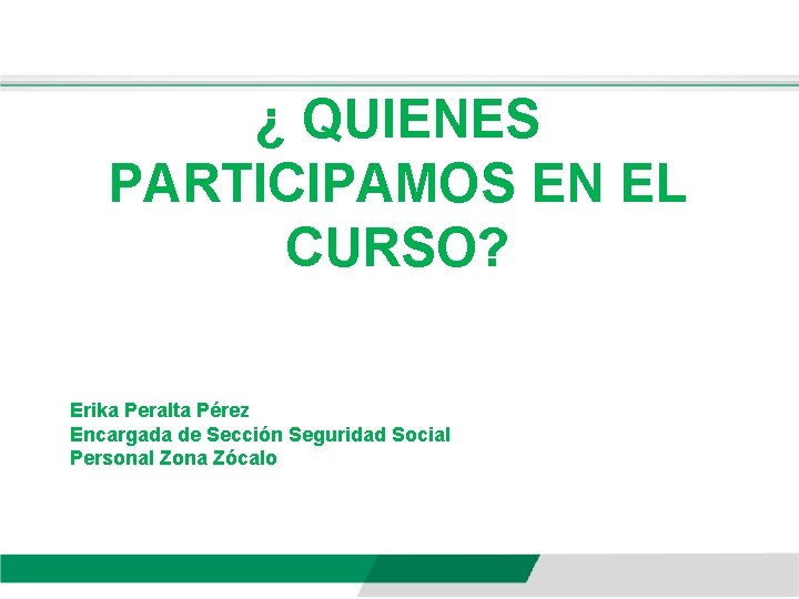 ¿ QUIENES PARTICIPAMOS EN EL CURSO? Erika Peralta Pérez Encargada de Sección Seguridad Social