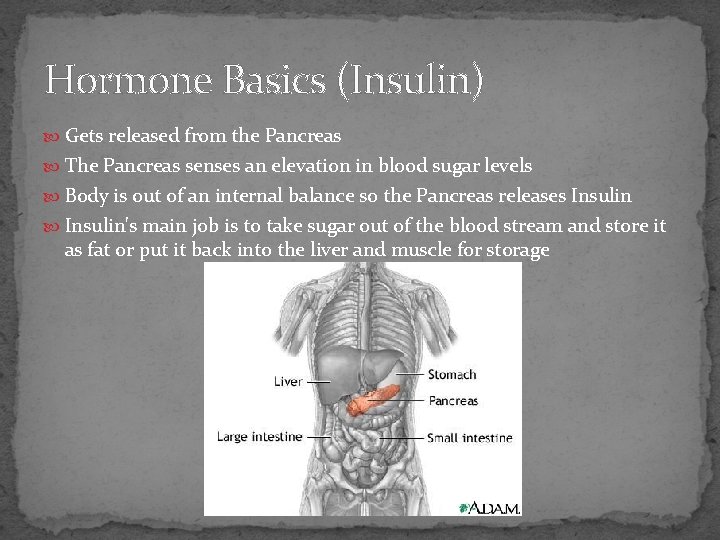 Hormone Basics (Insulin) Gets released from the Pancreas The Pancreas senses an elevation in