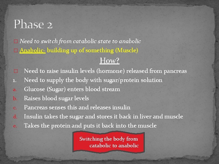 Phase 2 � Need to switch from catabolic state to anabolic � Anabolic- building