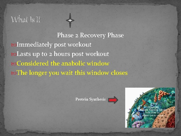 What Is It Phase 2 Recovery Phase Immediately post workout Lasts up to 2