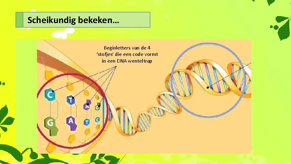 Scheikundig bekeken… Beginletters van de 4 ‘stofjes’ die een code vormt in een DNA