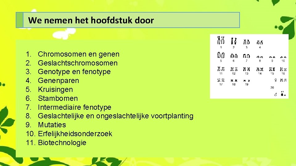 We nemen het hoofdstuk door 1. Chromosomen en genen 2. Geslachtschromosomen 3. Genotype en